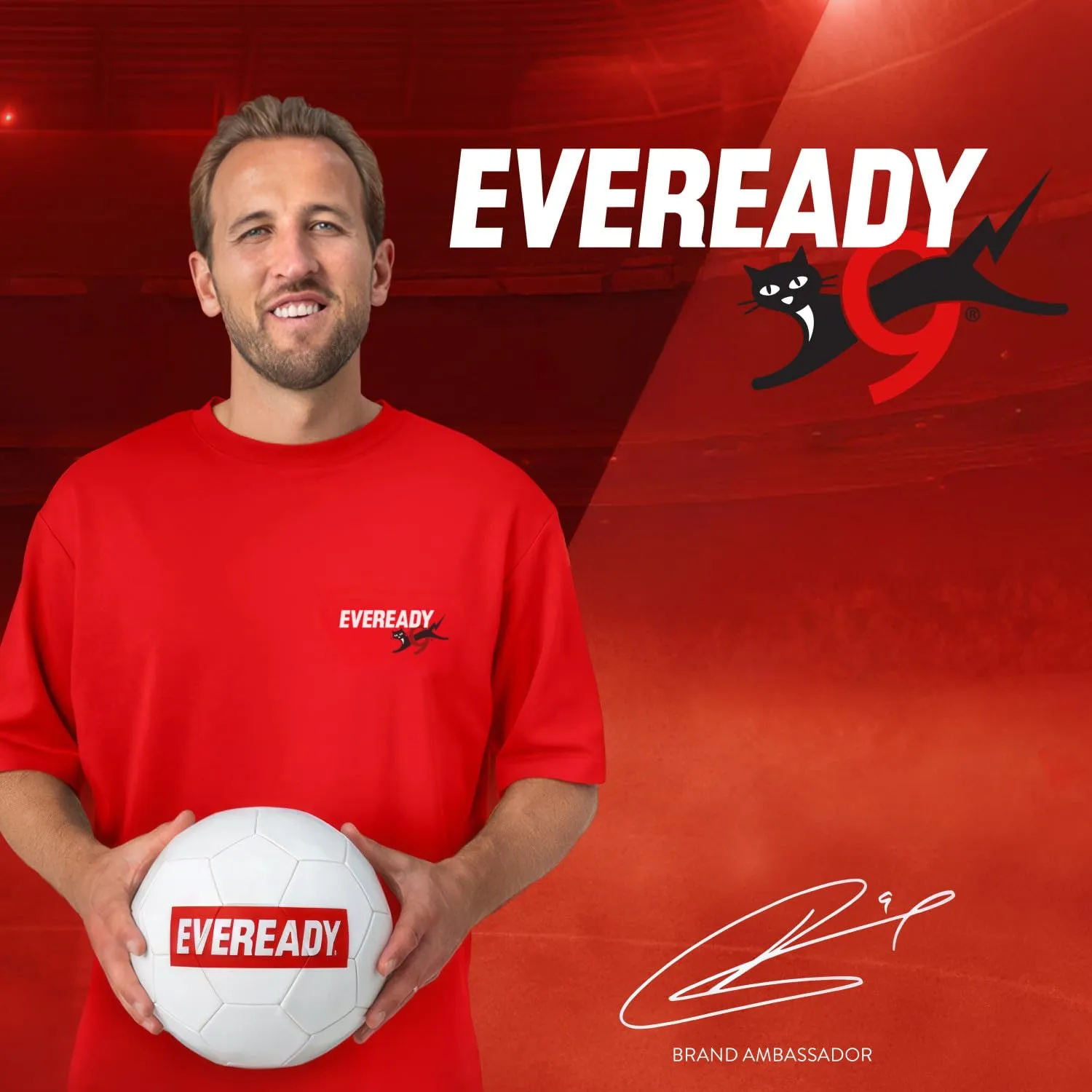 Eveready Gold Batterie Alcaline AA AAA 80 pezzi lunga durata