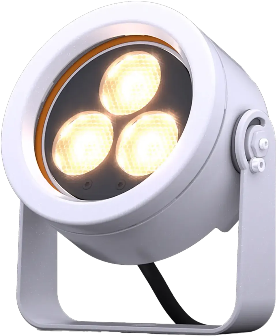 D.T.S. Doctus 3 Plug-In proiettore professionale