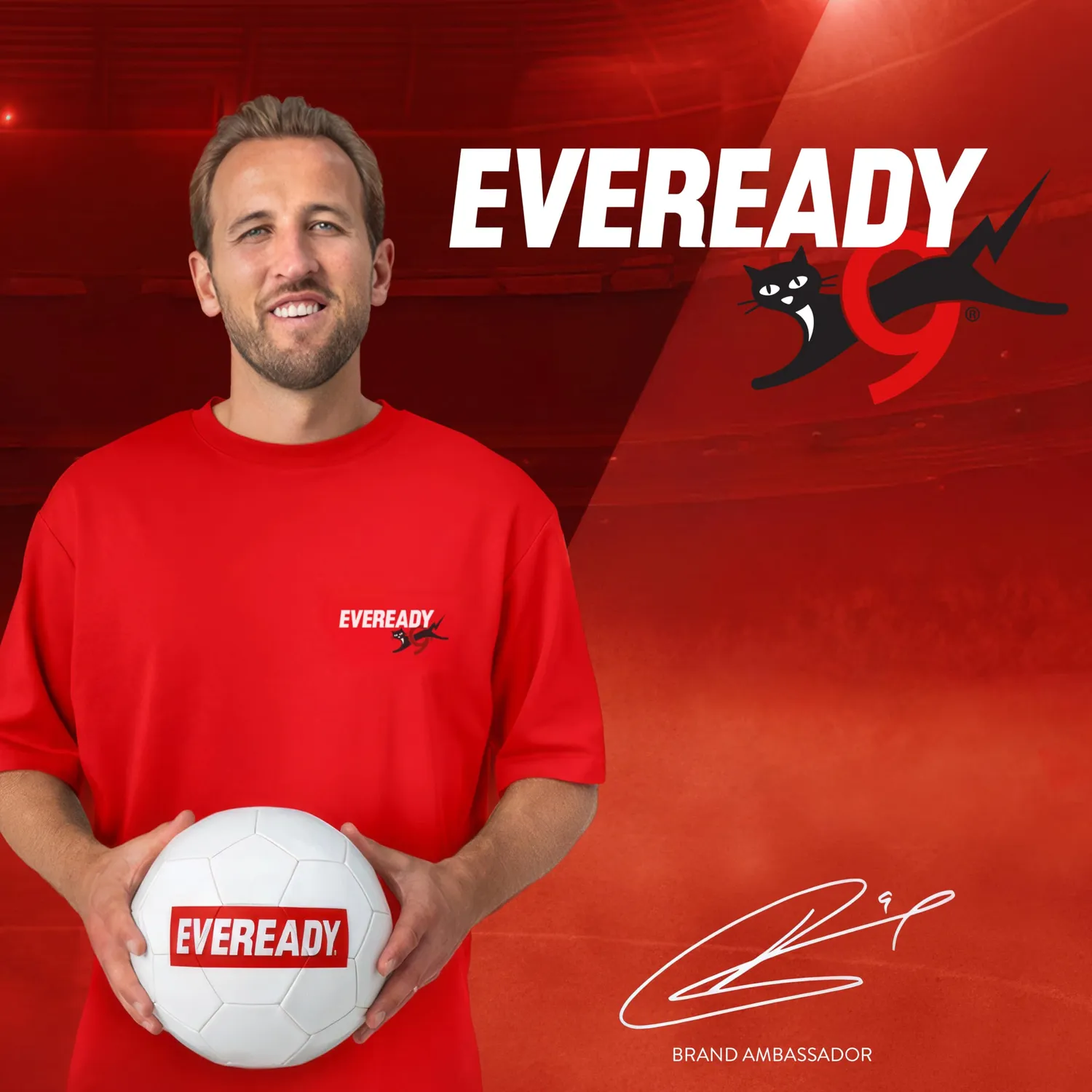 Eveready Gold Pile AAA Ministilo Alcaline Confezione 40