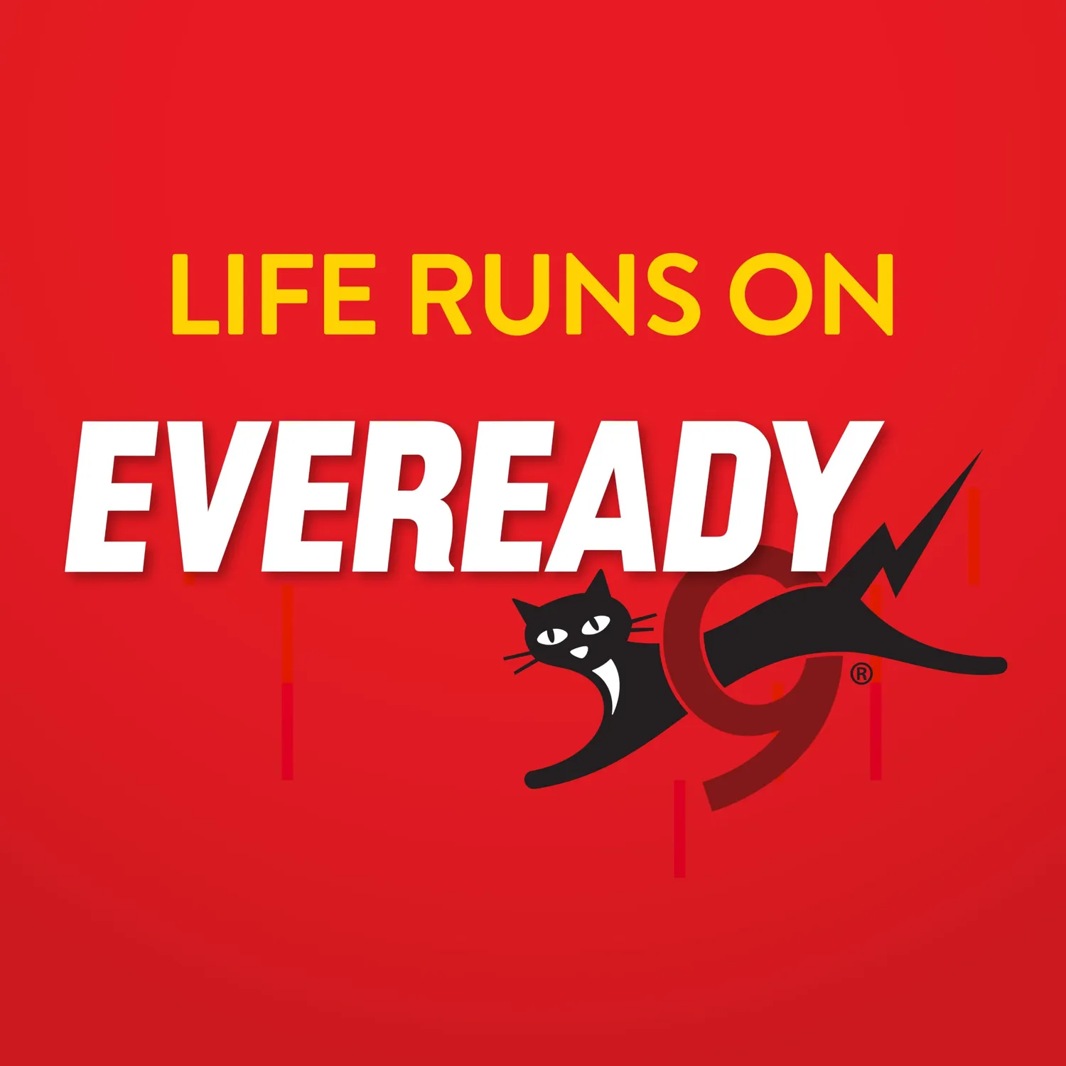 Eveready CR2032 batterie bottone litio 3V confezione 10